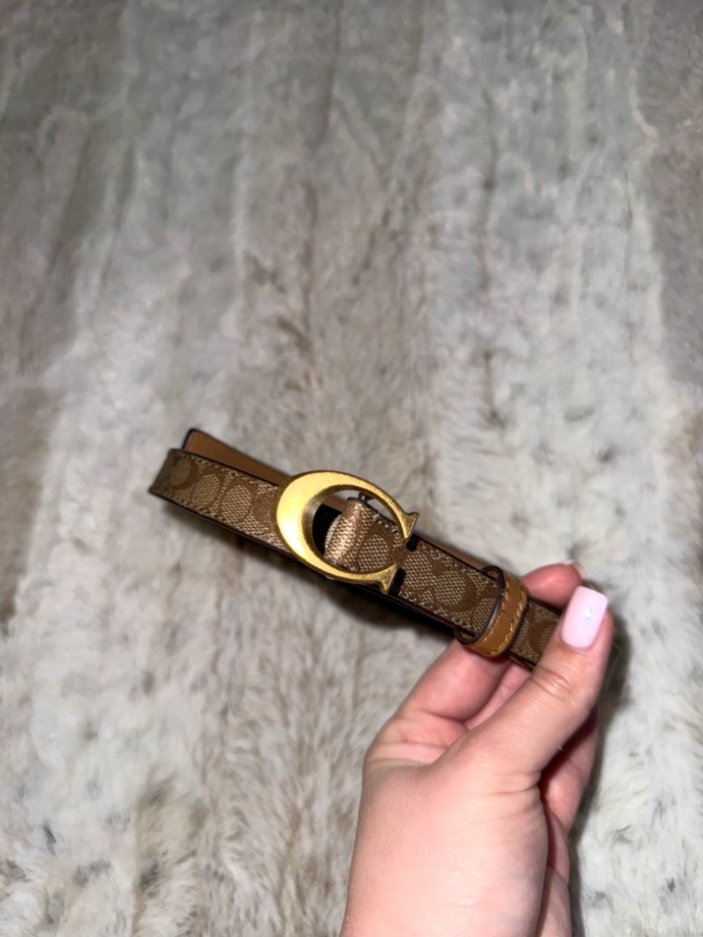 Coach Monogram Belt in Milk Chocolate